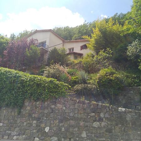 Les Lauriers Apartment Roquebilliere Exterior photo